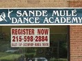 Sande Mule' Dance Academy logo