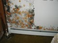 Santa Ana Indoor-Air Mold Removal and Remediation image 3