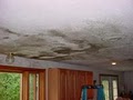 Santa Ana Indoor-Air Mold Removal and Remediation image 5