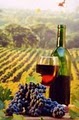 Santa Barbara "Personal" Wine Tours image 4