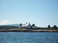 Schoodic Point Vacations image 10