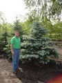 Schutz's Tree Farm Inc. image 7