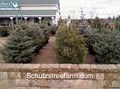 Schutz's Tree Farm Inc. image 9