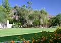 Scottsdale Camelback Resort image 3