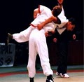 Shaolin Kung-Fu Institute image 4