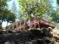 Shasta Vacation Rentals image 5