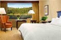 Sheraton Columbia Town Center Hotel image 7