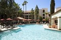 Sheraton Tucson Hotel & Suites image 5