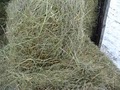 Sibbald Hay & Straw image 2