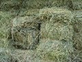 Sibbald Hay & Straw image 3