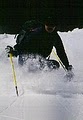 Ski Fanatics image 2
