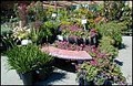 Sloat Garden Center image 1