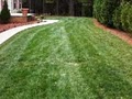 Snider's Landscaping & Lawn image 2