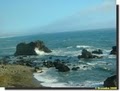 Sonoma Coast State Beach image 2
