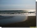Sonoma Coast State Beach image 3