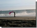 Sonoma Coast State Beach image 6