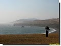 Sonoma Coast State Beach image 9