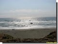 Sonoma Coast State Beach image 10