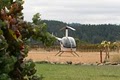 Sonoma Helicopter - Santa Rosa Inc image 1