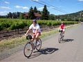 Sonoma Valley Bike Tours logo