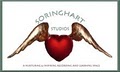 Soringhart Studios image 2
