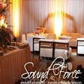 Sound Force Entertainment image 4