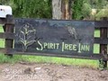 Spirit Tree Inn B & B image 8