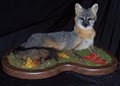 Sportmaster Taxidermy image 4