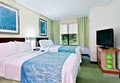 SpringHill Suites Asheville image 5