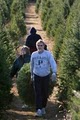 Spruce Goose Christmas Tree Farm image 7
