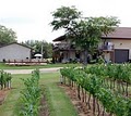 St. Francois Winery image 4