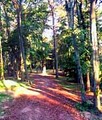 St Hazards Waterfront Resort on Middle Bass Island - Ohio image 3