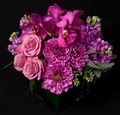 Starbright Florist and Floral Design image 4