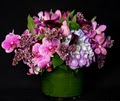 Starbright Florist and Floral Design image 1