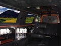 Stardust Limousine and Tours Santa Barbara image 5