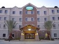 Staybridge Suites Lafayette Airport image 3