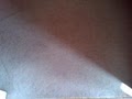 Steam Point Carpet & Upholstery Cleaning image 4