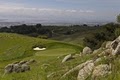 Stonebrae Country Club image 4
