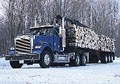 Stoops Freightliner - Quality Trailer image 7