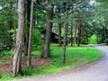 Stowe Cabins in the woods image 3