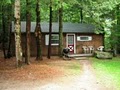 Stowe Cabins in the woods image 1