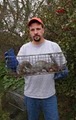 Suburban Wildlife Control image 4