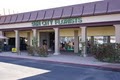 Sun City Florists, Cards and Gifts logo