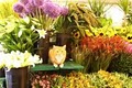 Superior Florist Ltd. image 3