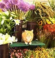Superior Florist Ltd. image 4