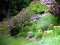 Susan Schlenger Landscape Design image 8