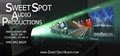 Sweet Spot Audio Productions - Pittsburgh AV , Projector Rentals logo