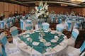 TWEETY'S WEDDINGS & PARTY RENTALS. image 2