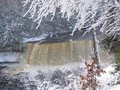 Tahquamenon Falls State Park: Visitor Center image 4