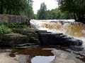 Tahquamenon Falls State Park image 10